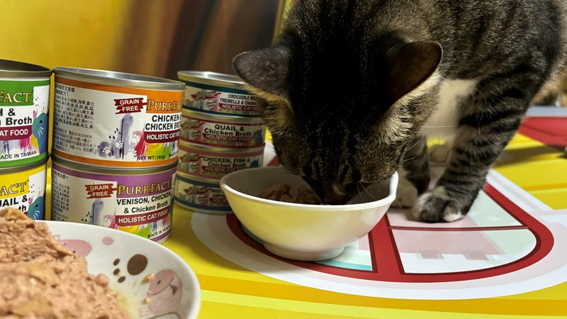 女人知己試用大隊,口碑行銷,部落客行銷,PURRFACT 波菲特貓用主食罐,主食罐,PURRFACT波菲特,貓主食罐,貓罐,PURRFACT波菲特貓用主食罐,魚肉蔓越莓主食罐,鮮嫩雞主食罐,鹿肉雞肉主食罐,牛肉鵪鶉貓主食罐,干貝蠶蛹配方,鱷魚肉白木耳配方,雞肉魚肉配方,安心鶉配方,評價,體驗,適口性佳,心得,成貓適用,高齡貓適用,質地是慕絲狀